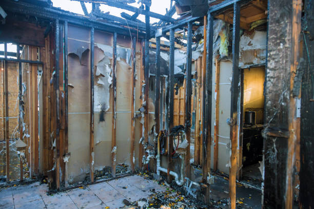 Professional Fire Damage Removal technician working in Savage, MD